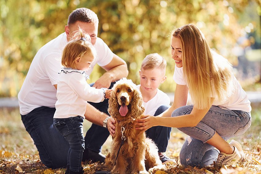 PetsBook for families