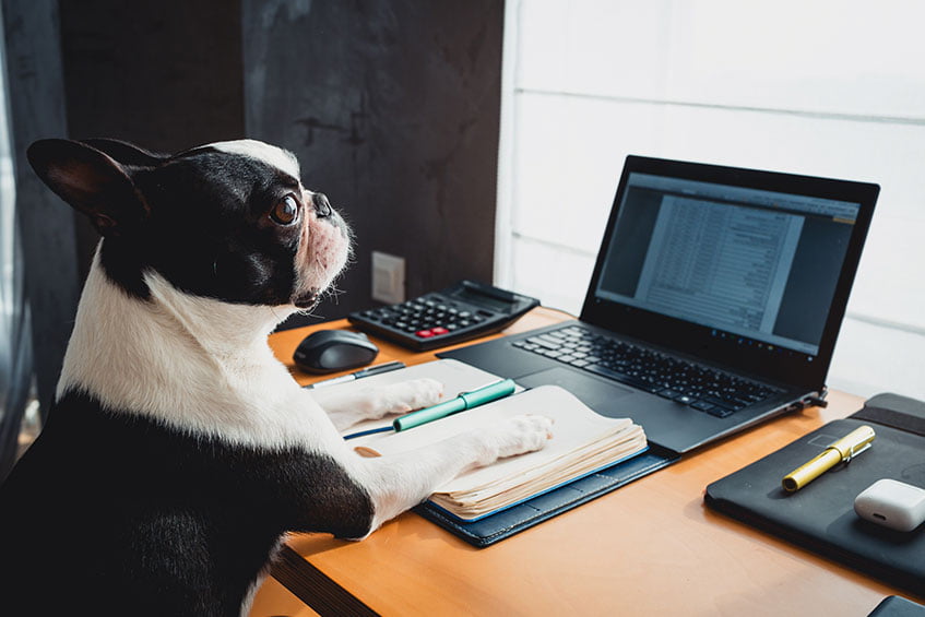 PetsBook Frequently Asked Questions