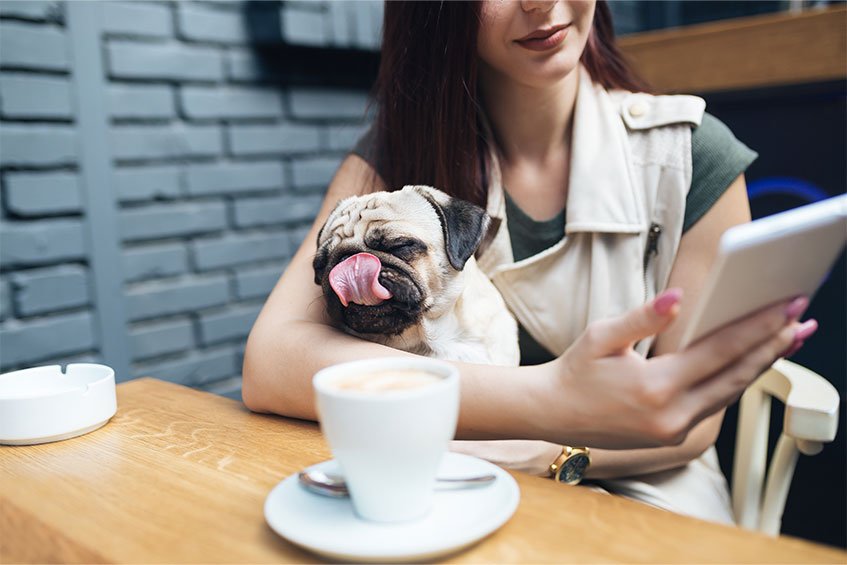 PetsBook for single women