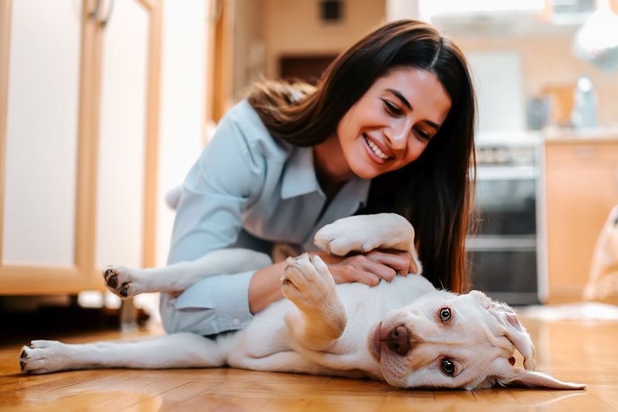 Teaching the Good Command | PetsBook