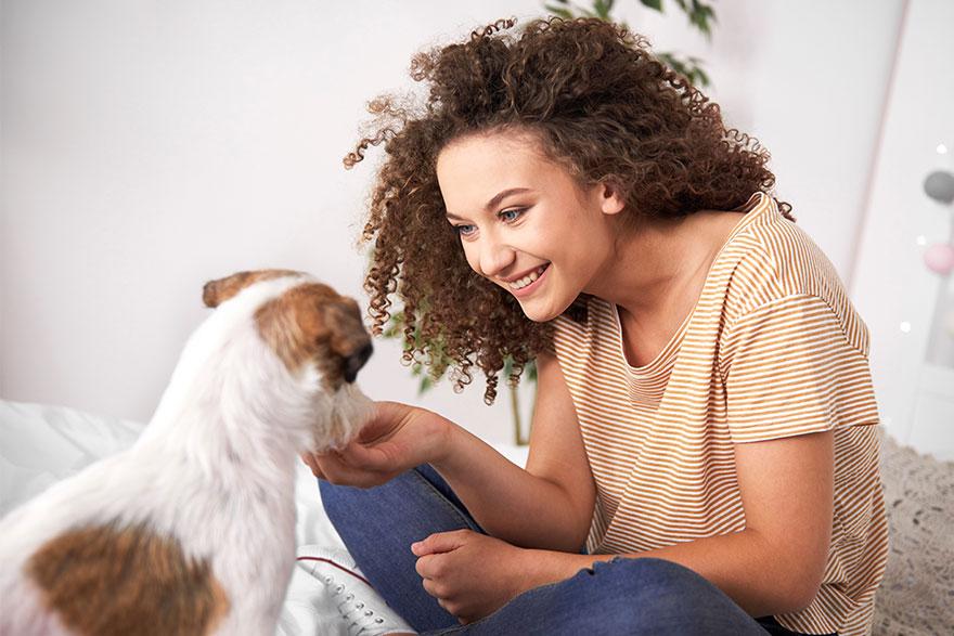 Rewarding with Treats | Positive Reinforcement Techniques | PetsBook