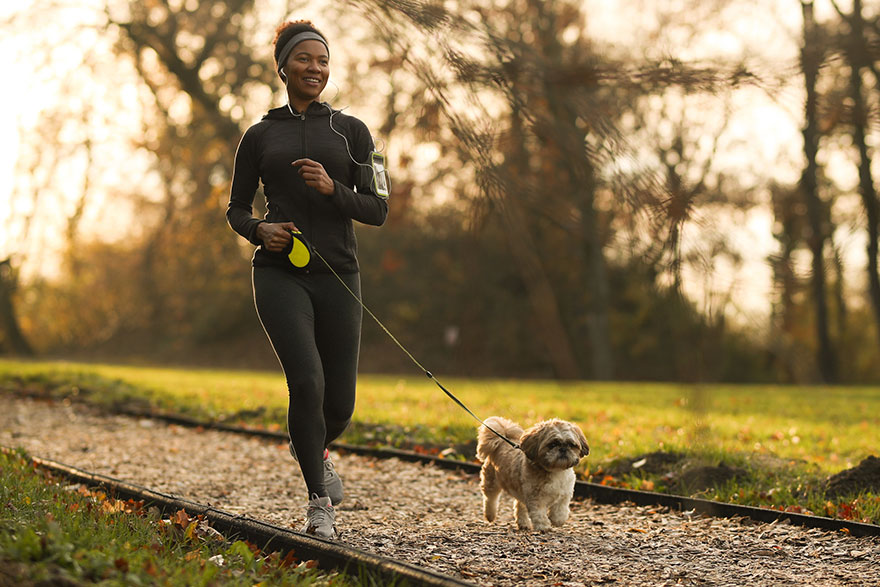Heel Dog Training Command | PetsBook